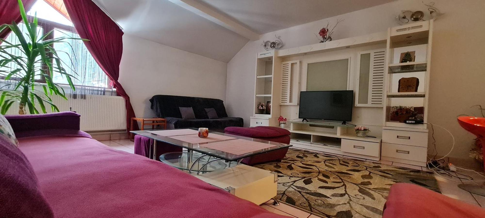 Vila Roxy ポイアナ・ブラショフ 部屋 写真