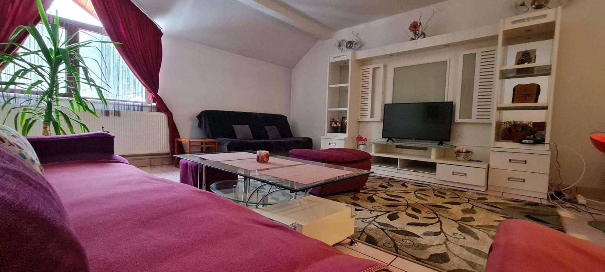 Vila Roxy ポイアナ・ブラショフ 部屋 写真